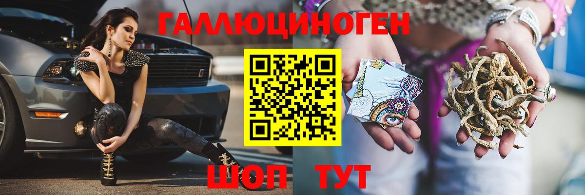 Галлюциногенные грибы Psilocybe Анапа