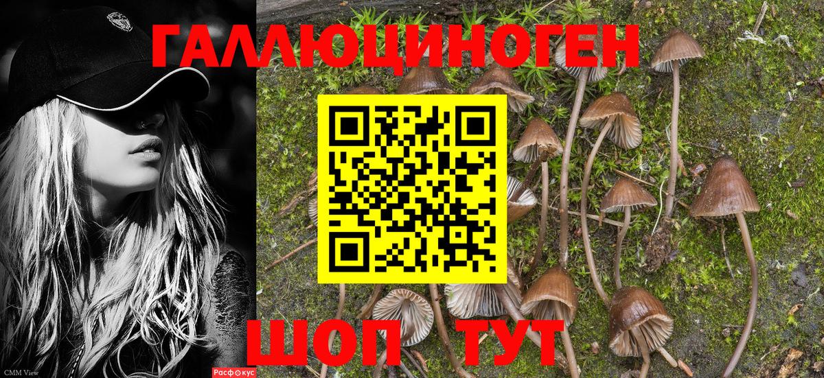 Галлюциногенные грибы Magic Shrooms  Псилоцибиновые грибы Magic Shrooms  Вход с VPN  Анапа 